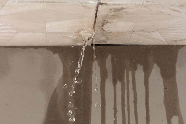 Professional Flood Damage Cleanup technician working in Forbes, MN